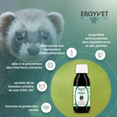 Ergyvet Rénal